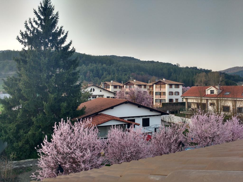 Casa Tau ξενώνας Larrasoana Εξωτερικό φωτογραφία
